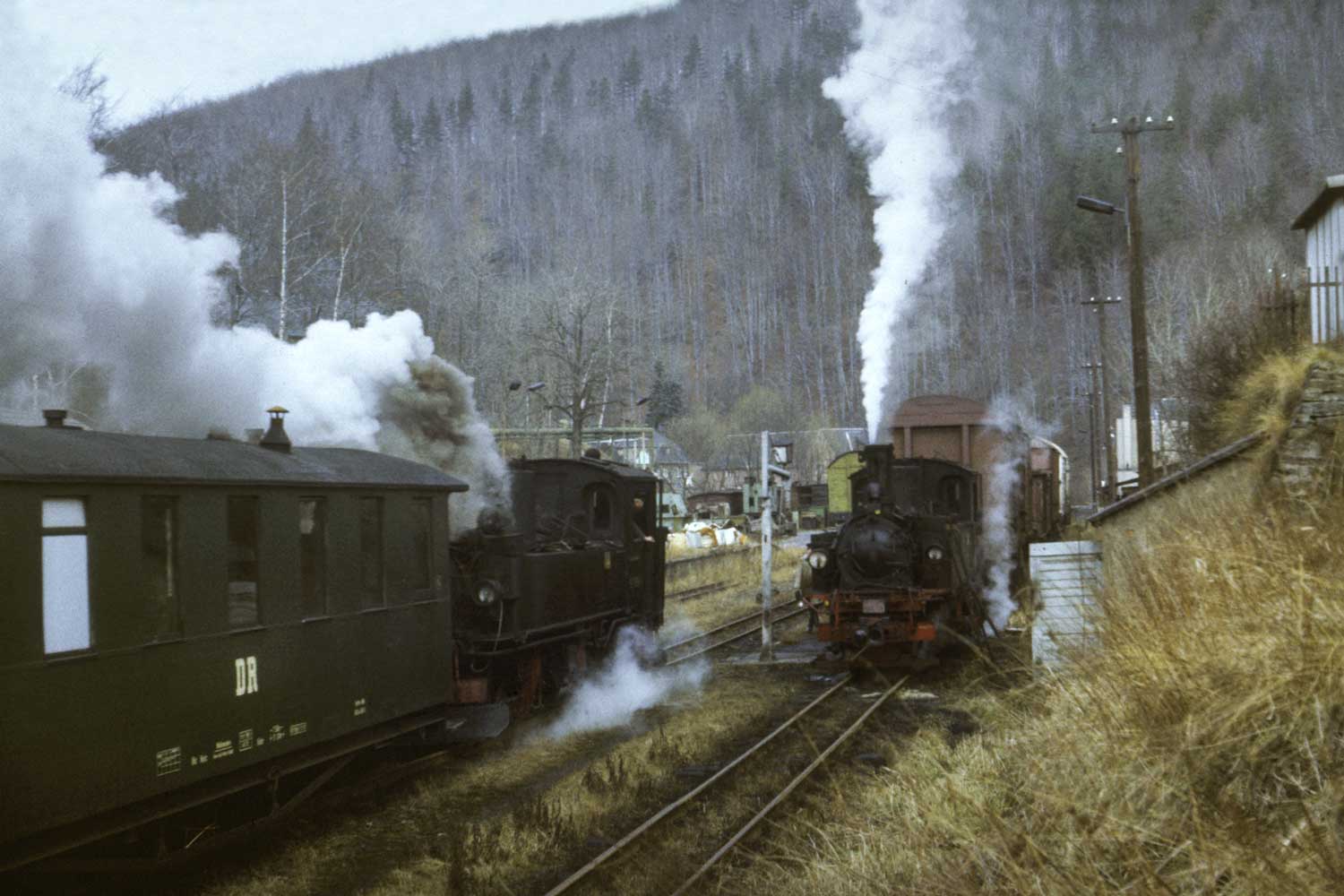 Zugkreuzung in Steinbach