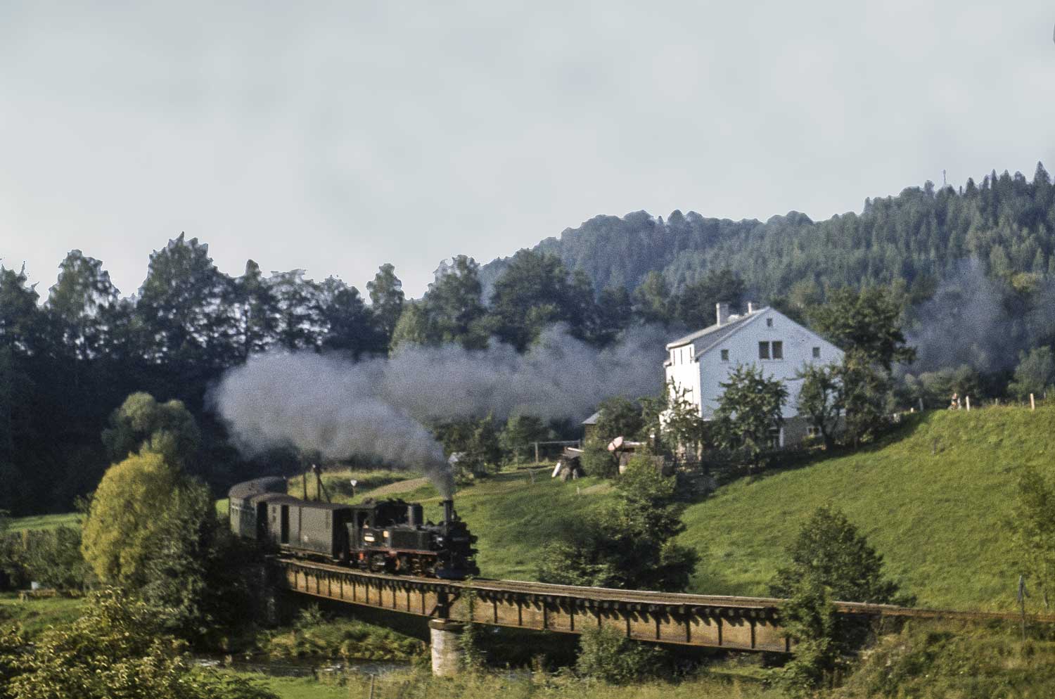 Schmalspurzug auf Brücke