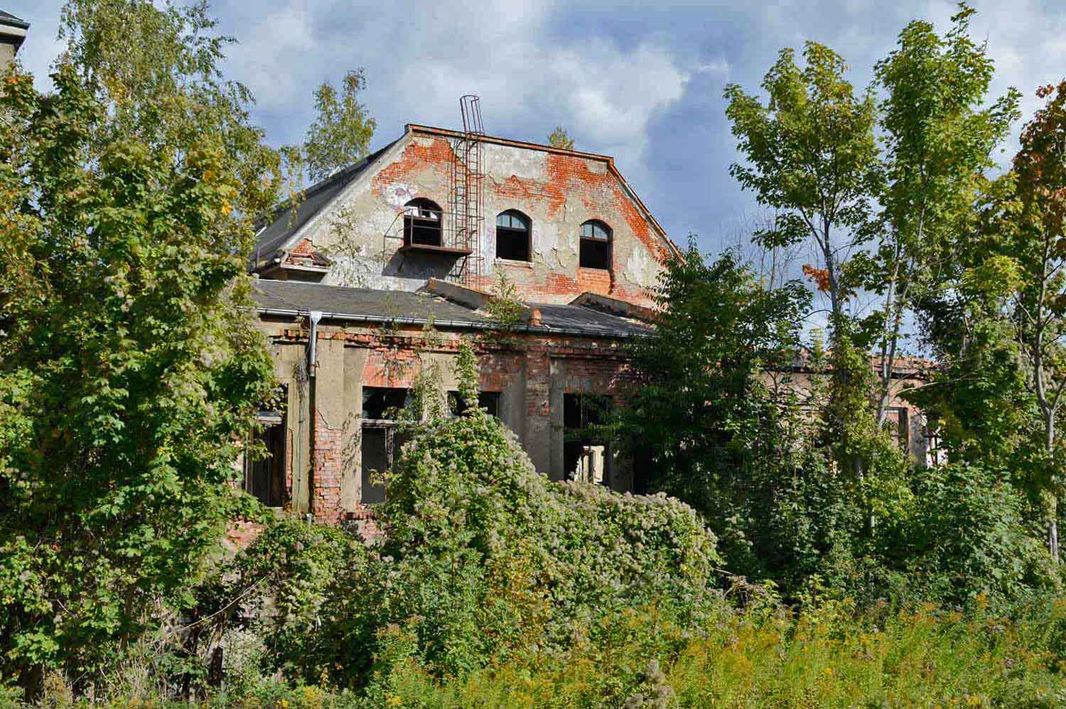 Ruine in der Vegetation