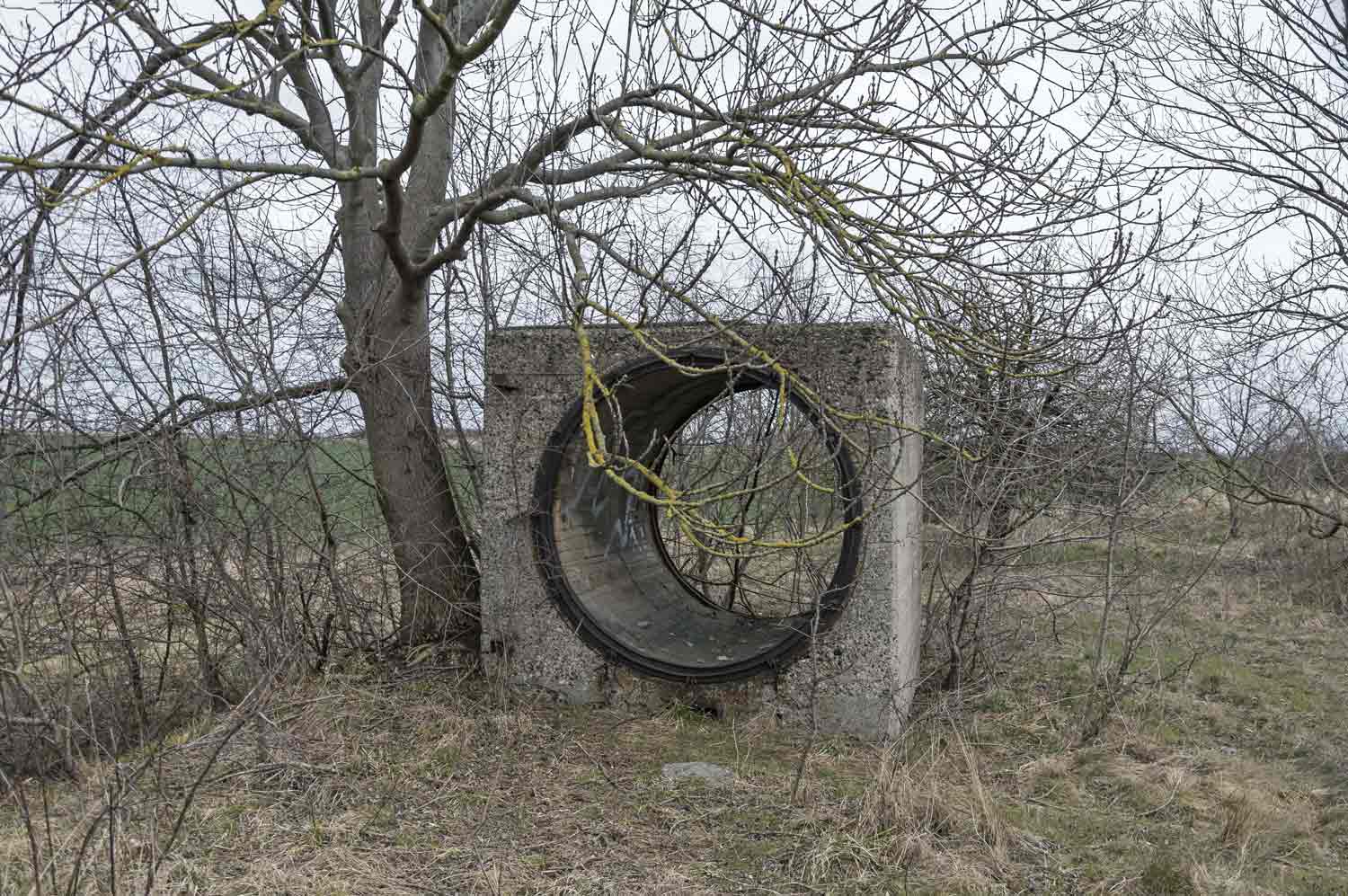 Wüsteneutzsch, März 2022 Vorschau - Einsames Betonsegment mit rundem Ausschnitt in herbstlicher Landschaft