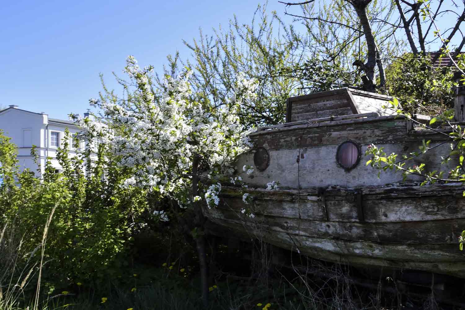 Reste Kajütboot im Vorgarten