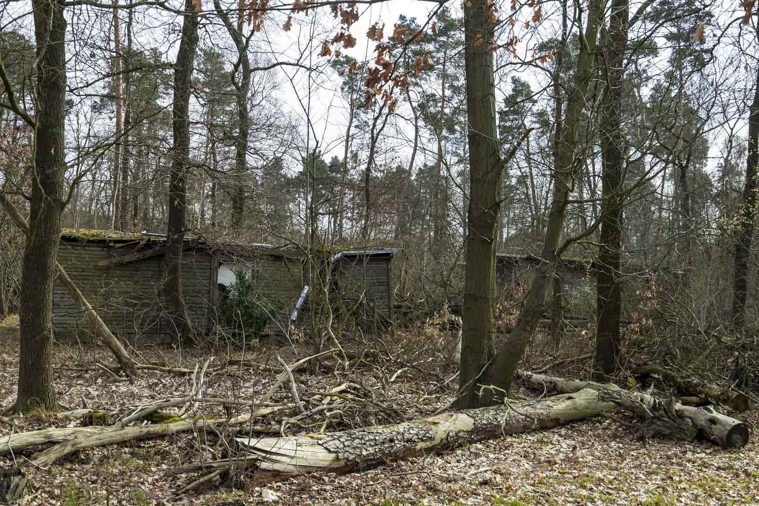 Reste Ferienlager im Wald