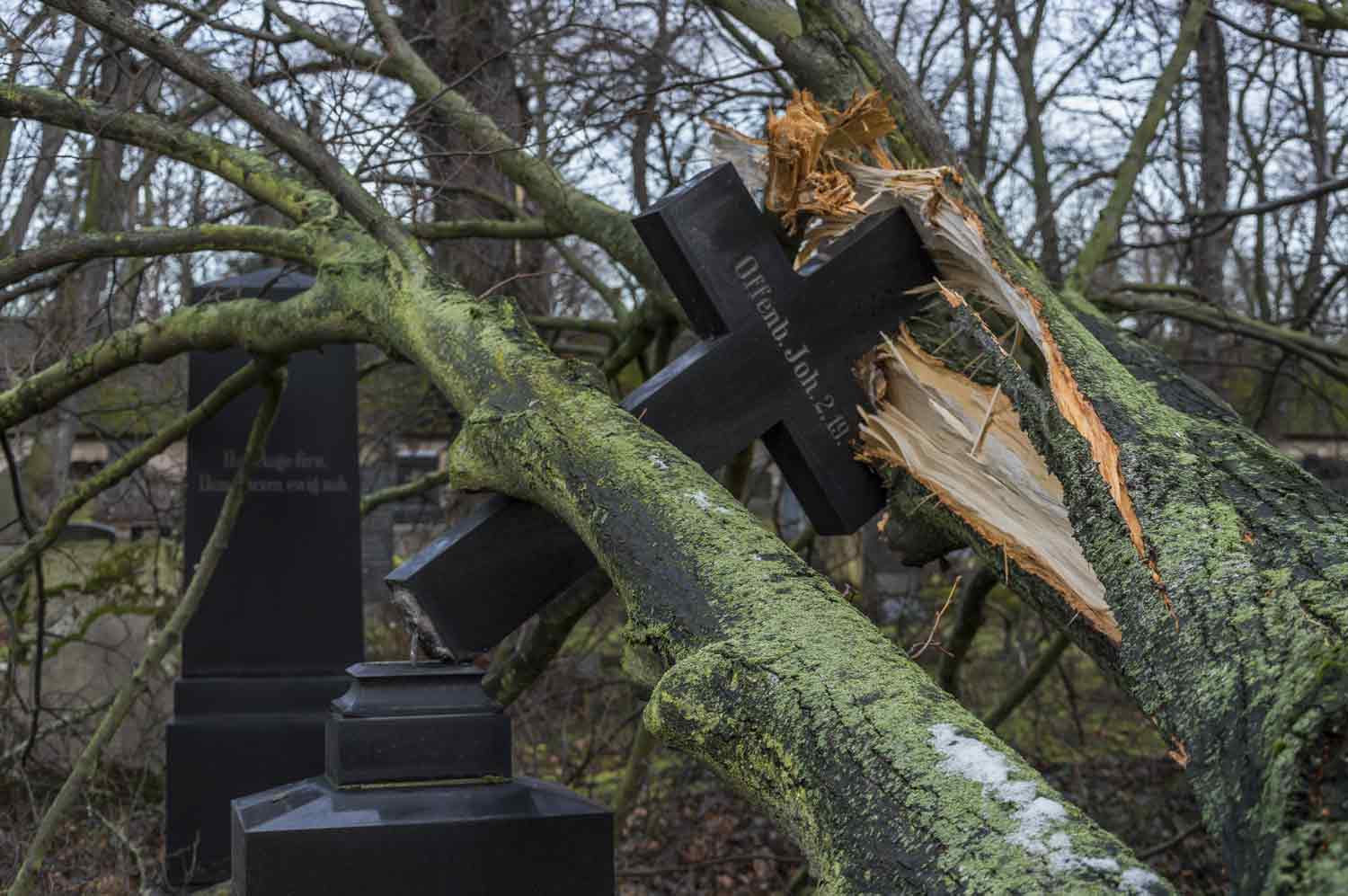 Sturmschaden auf Stadtgottesacker Halle