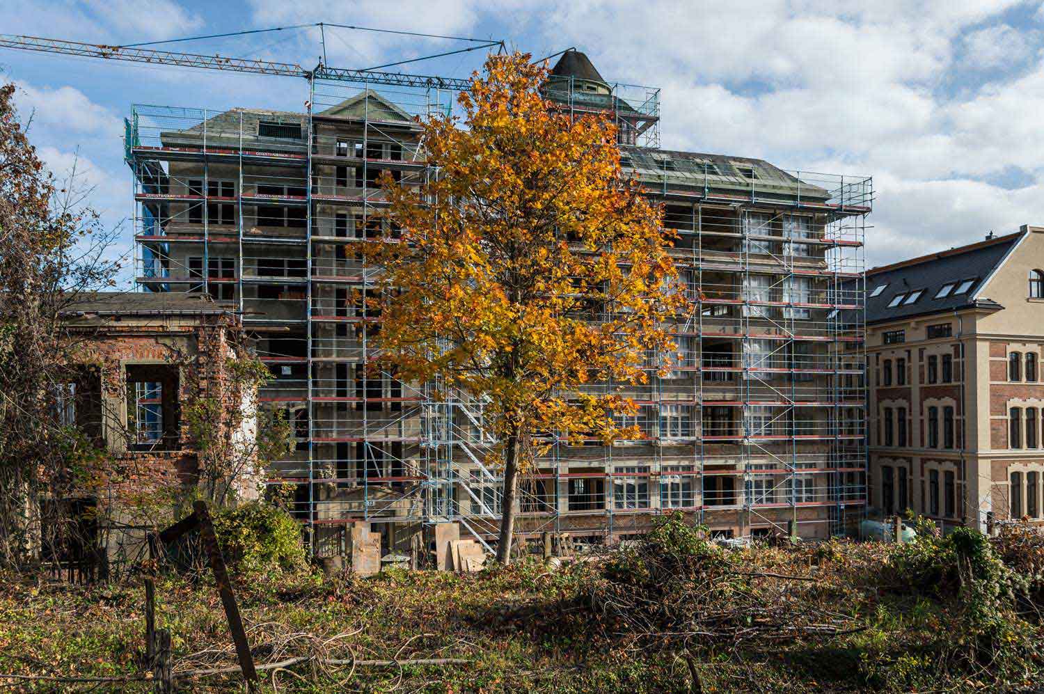 Herbstlicher Baum