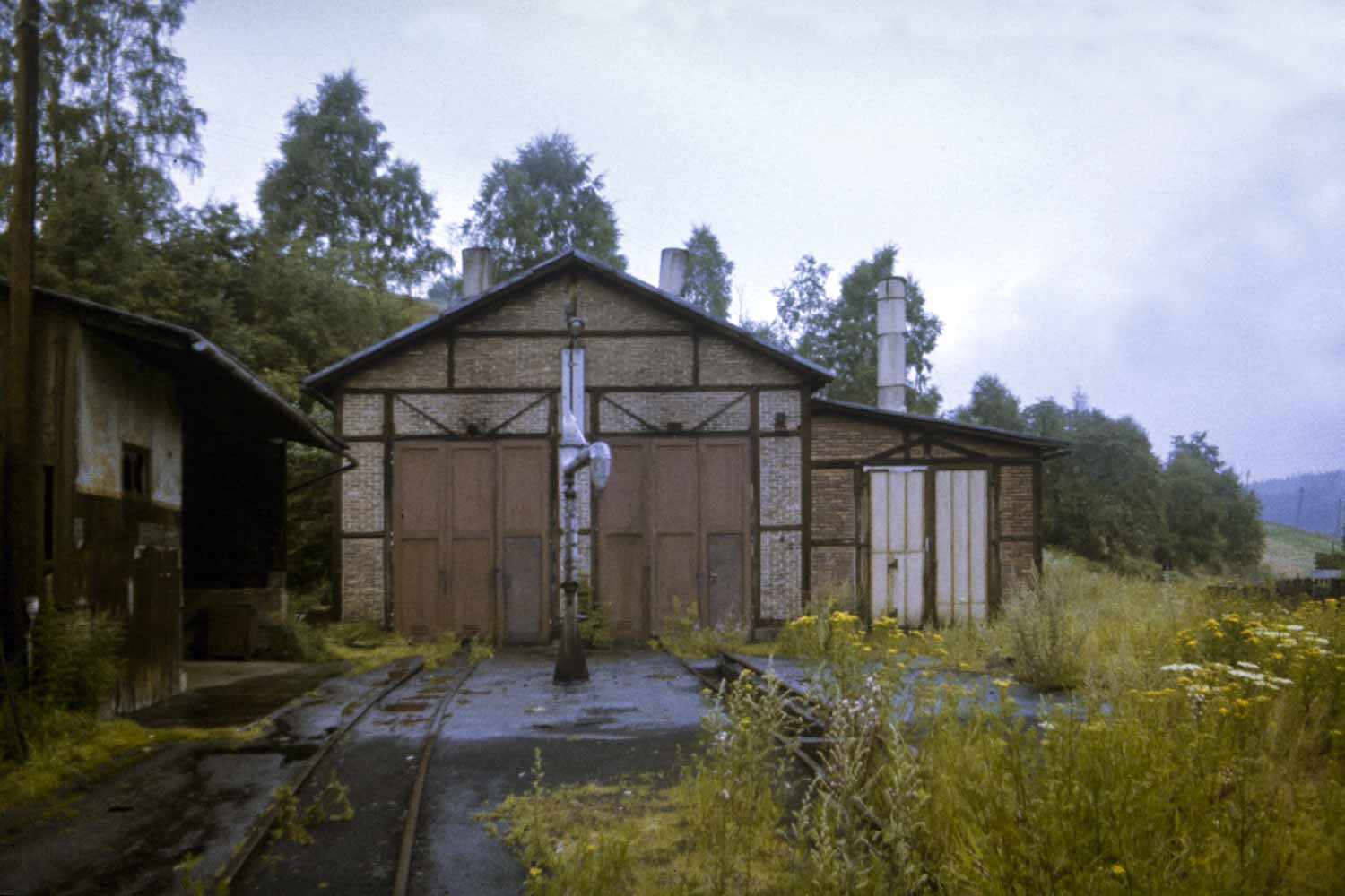 Lokschuppen im Wildwuchs