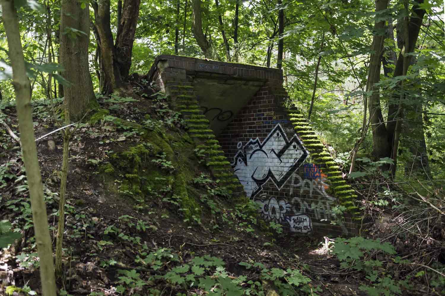 Bunkereingang auf dem alten Fliegerhorst Waldpolenz Bunkereingang im sommerlichen Grün
