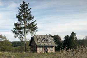 Zum Beitrag 'Kleines Haus am Wald'