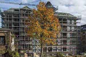 Vorschau - Herbstlicher Baum vor eingerüstetem Haus